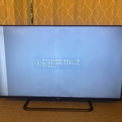 TCL 50P8S の画像
