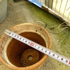 植木鉢 (非対面式　取引希望)の画像