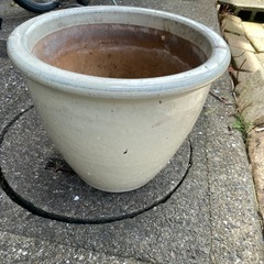 植木鉢 (非対面式　取引希望)の画像