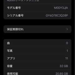 Apple Watch series 6チタニウム40MM グレイスポーツバンド の画像