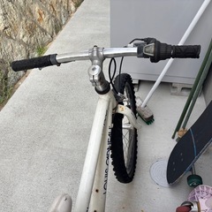 ルイガノ　中古　自転車 20インチの画像