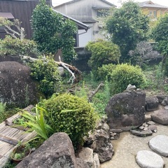 庭石、灯籠、植木等　無料で貰ってくださいの画像