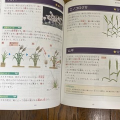 【新品】入試に出る植物図鑑　Z会中学受験シリーズの画像