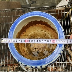 火鉢の画像