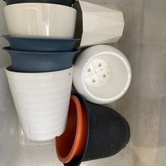 園芸品の画像