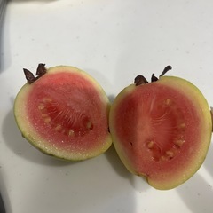 スーパーフード、グァバ（バンシルー）2.5kg①の画像