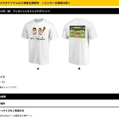 8/15(金)ソフトバンクホークスVS千葉ロッテ　コカコーラシート三塁側ペア　タオル２枚付の画像