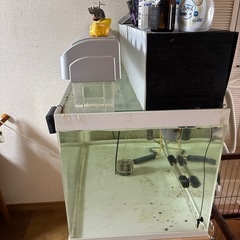 90センチ水槽の画像