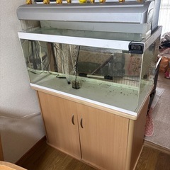 90センチ水槽の画像