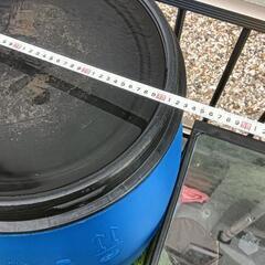 プラスチック製ドラム缶 メダカの画像