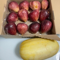 いちじく　マクワウリ　無農薬野菜の画像