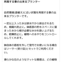 アートストーン　Lサイズの画像