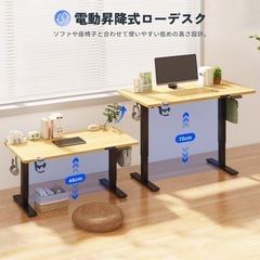 【40%OFF】FlexiSpot EF1 T電動昇降ローデスク(ブラック)の画像