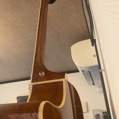 アイバニーズ エレアコ AE205-NT(ソフトケース付)の画像
