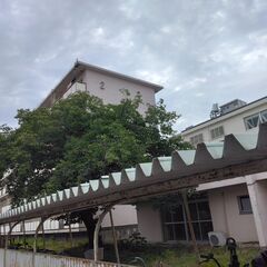 荷物貨車　階段も使えるの画像