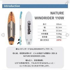 美品！サップ！耐荷重120kg！の画像