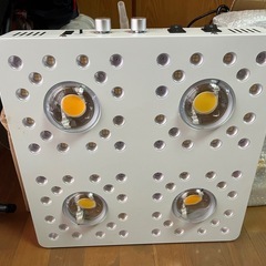 栽培用LED
の画像