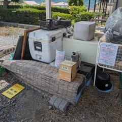 訳あり 長野県産 ホイップコーン とうもろこし 直売所    １本 100円の画像