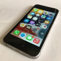 iPhone SE 第一世代　16GBの画像
