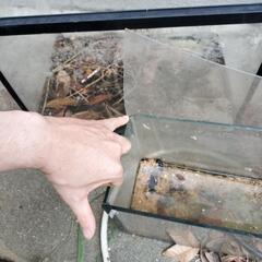 水槽2個の画像
