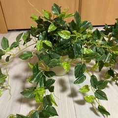 フェイクグリーン3点　造花の画像