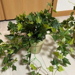 フェイクグリーン3点　造花の画像