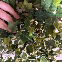 フェイクグリーン3点　造花の画像