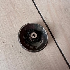 コンチョの画像