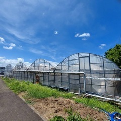 【新規就農】使わないビニールハウスを譲ってください‼️