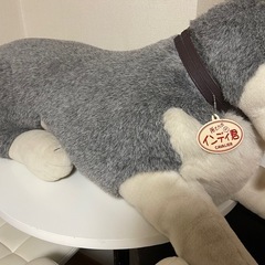 所さんのインディ君 特大ぬいぐるみの画像