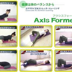 Axis Former 円筒形エクササイズ器具の画像