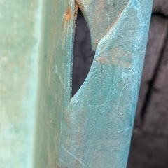 メダカの定番wの画像