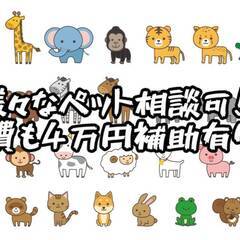 [彦根市]エリアのお住まいの方必見!!ペット寮、カップル、家族寮が用意されている求人もあり、お盆期間中も即入居可の求人がございます!!もちろん相談だけでも大歓迎♪ 仕事No.3QZOmoW2BL 2の画像