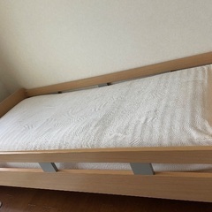 すのこベットの画像