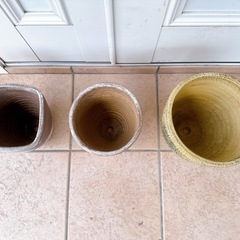 和にも洋にも合う植木鉢3つの画像
