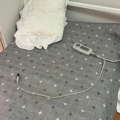 Hanil 医療機 フリーボルト 電気毛布（海外対応 110V/220V） シングルサイズ・クロス柄あり の画像