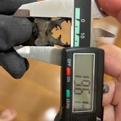 福岡県産WD特大ミヤマクワガタ♂の画像