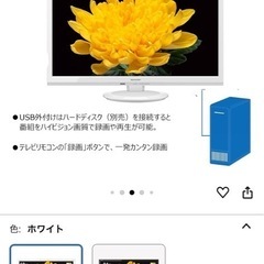 テレビの画像