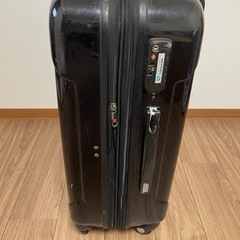 キャリーバッグの画像