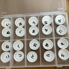 手作りおもちゃ　パズル　ペットボトルキャップの画像