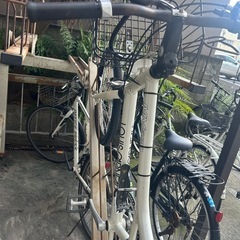 ルイガノ　ミニベロ　ルイガノMV530 値引き可能 の画像