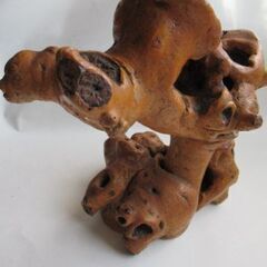 木の根・美術品・工芸品の画像