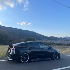 ロクサーニマルチフォルケッタの画像