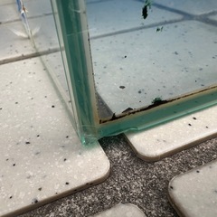 水槽 45せセンチの画像