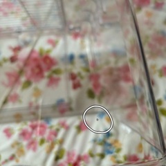 Ruexue ハムスター　小動物　ケージの画像