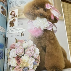 トリミング雑誌　トリム　6冊の画像