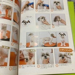 トリミング雑誌　トリム　6冊の画像
