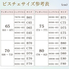 ブライダルインナー 3点セット モカベージュ【E75】の画像