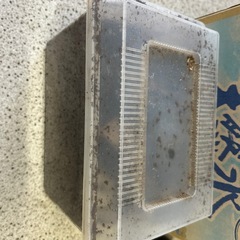メタリフェルホソアカクワガタ　幼虫確認済産卵セット　ケース付き　　　の画像