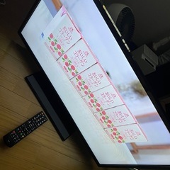 ３２vテレビ　ミスマPBの画像